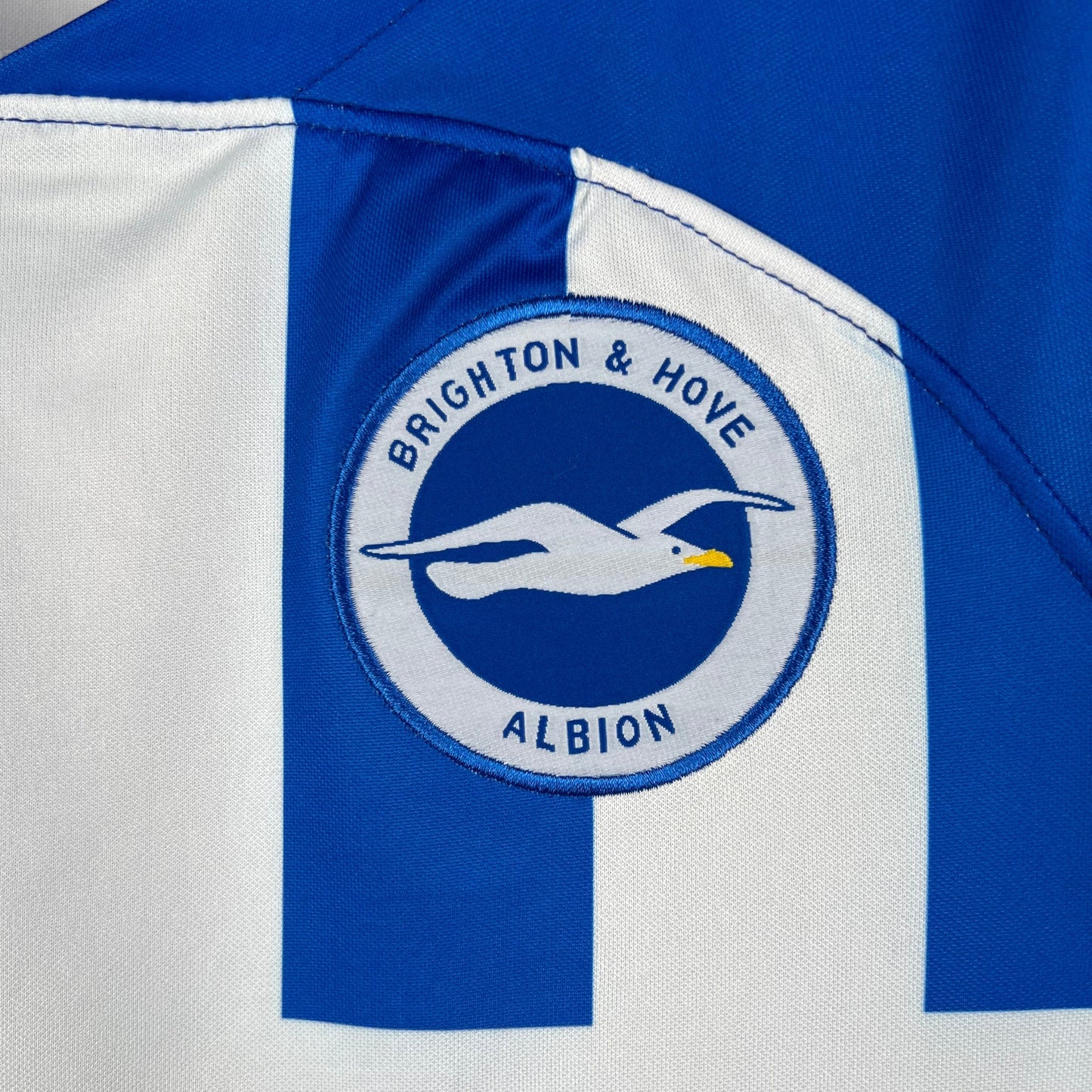 BRIGHTON I 23/24 HOMBRES