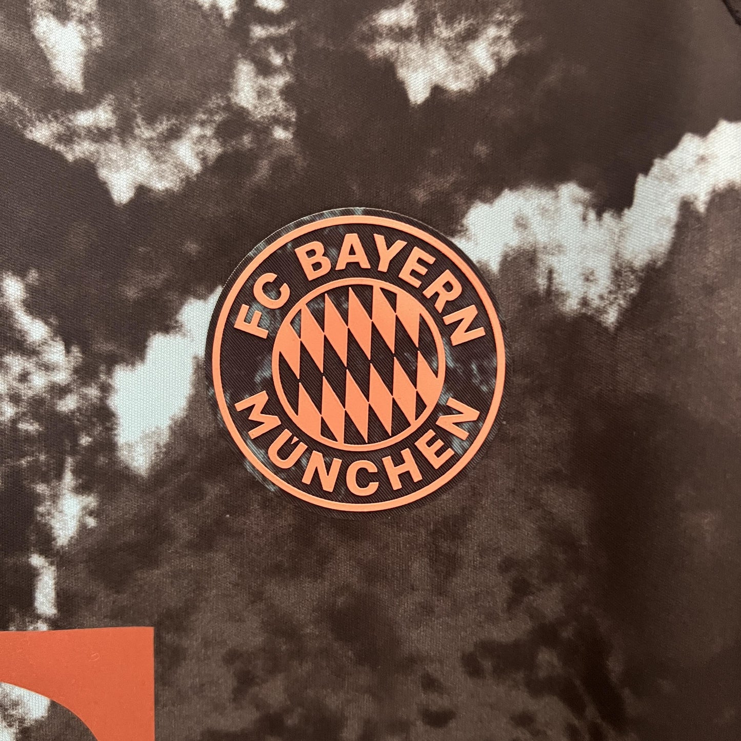 BAYERN MÚNICH II 24/25 HOMBRES