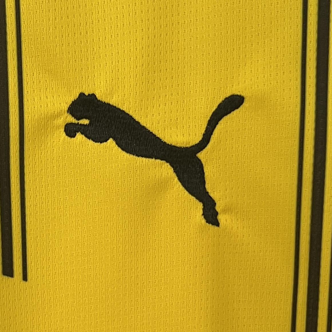 BORUSSIA DORTMUND 24/25 HOMBRES