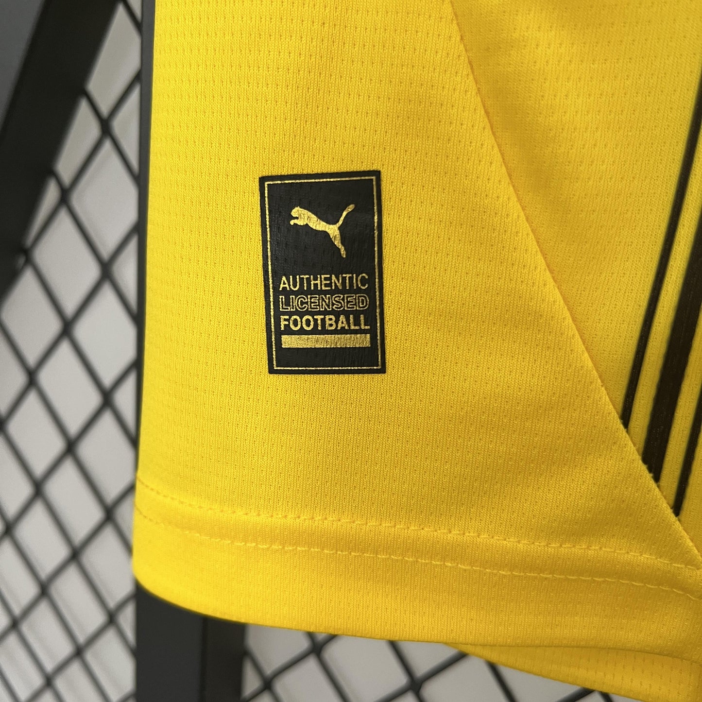 BORUSSIA DORTMUND 24/25 HOMBRES