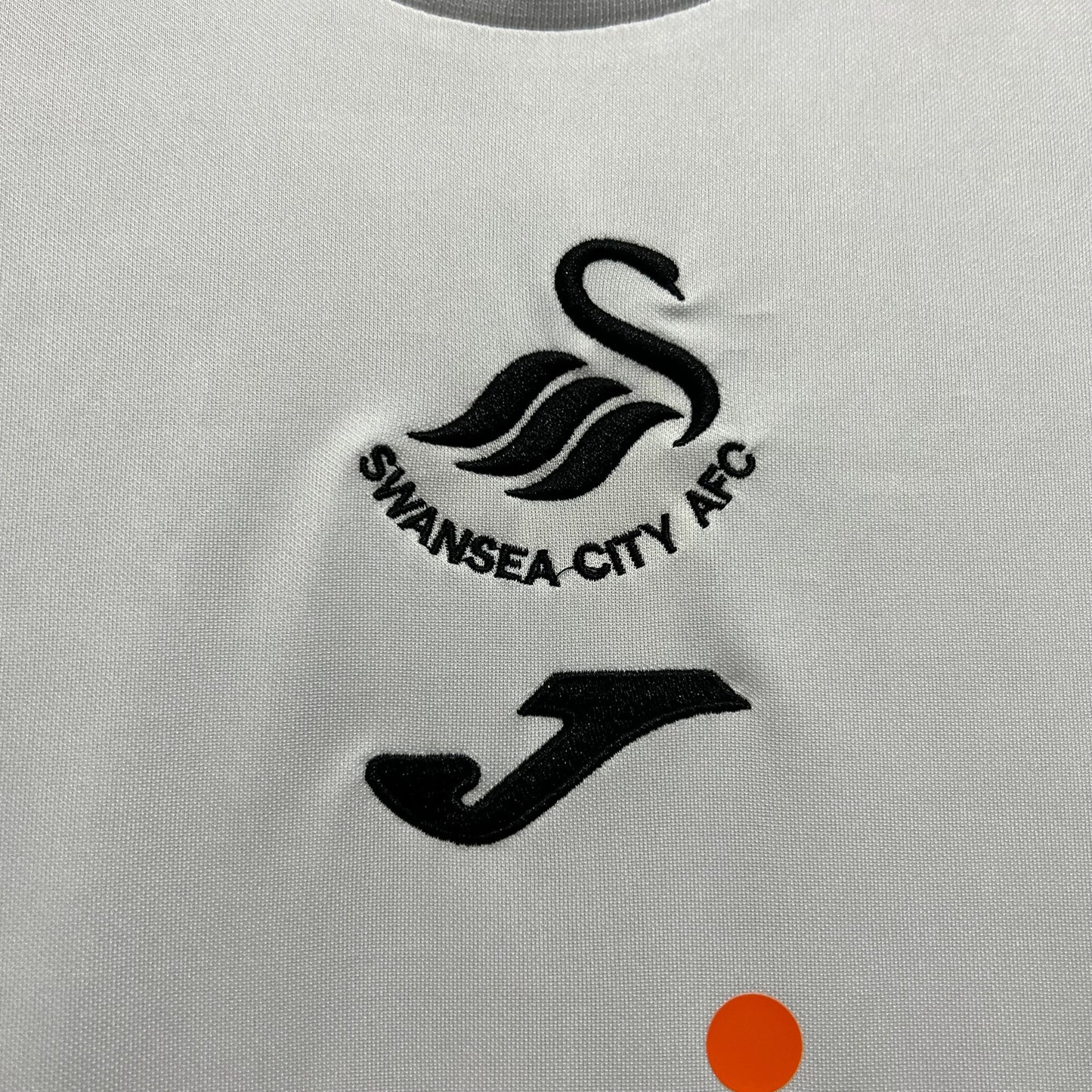 SWANSEA I 23/24 HOMBRES