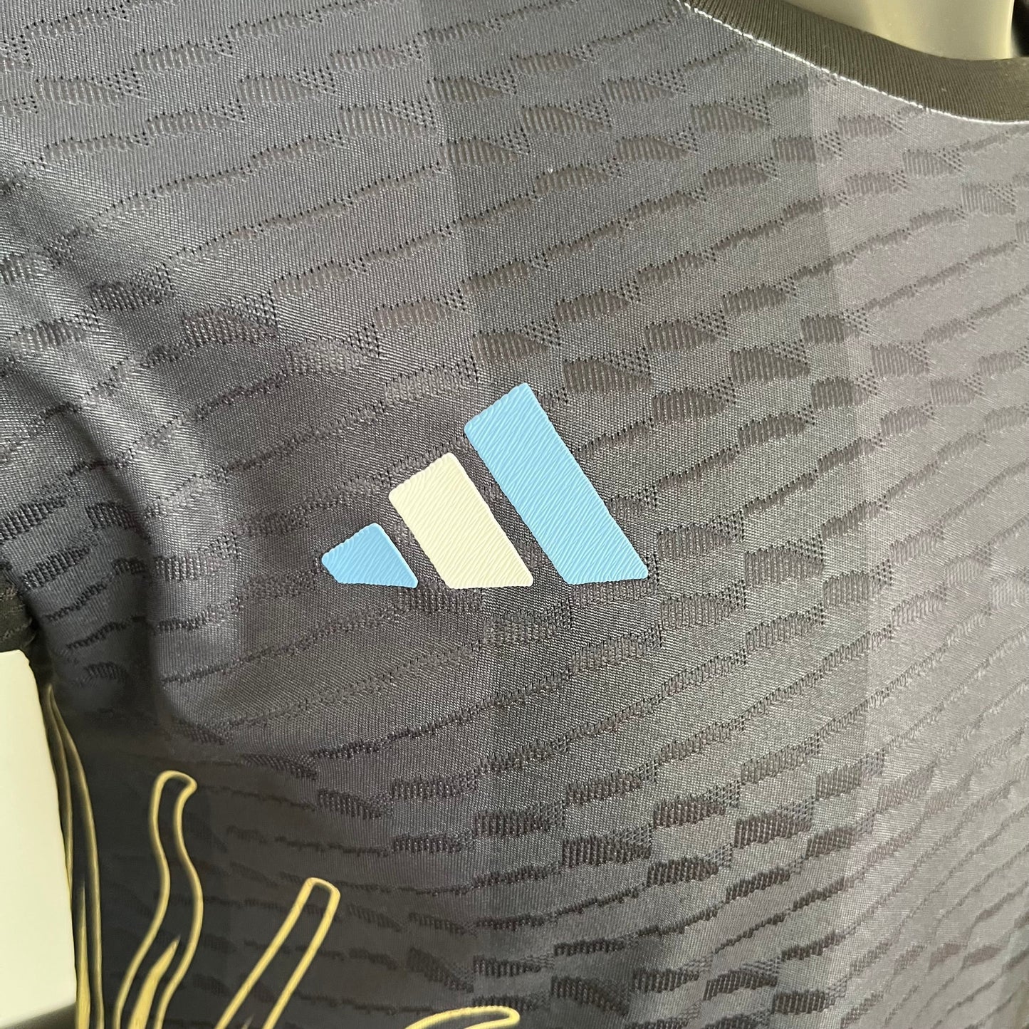 ARGENTINA EDICIÓN ESPECIAL IV 23/24 HOMBRES (VERSIÓN DEL JUGADOR)