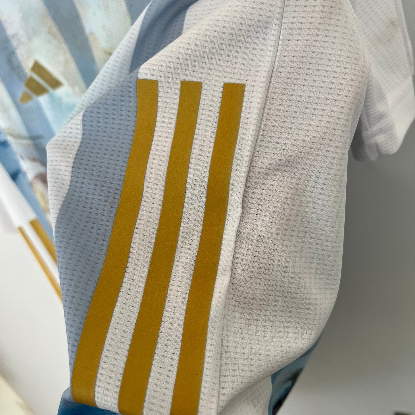 ARGENTINA EDICIÓN ESPECIAL III 23/24 HOMBRES