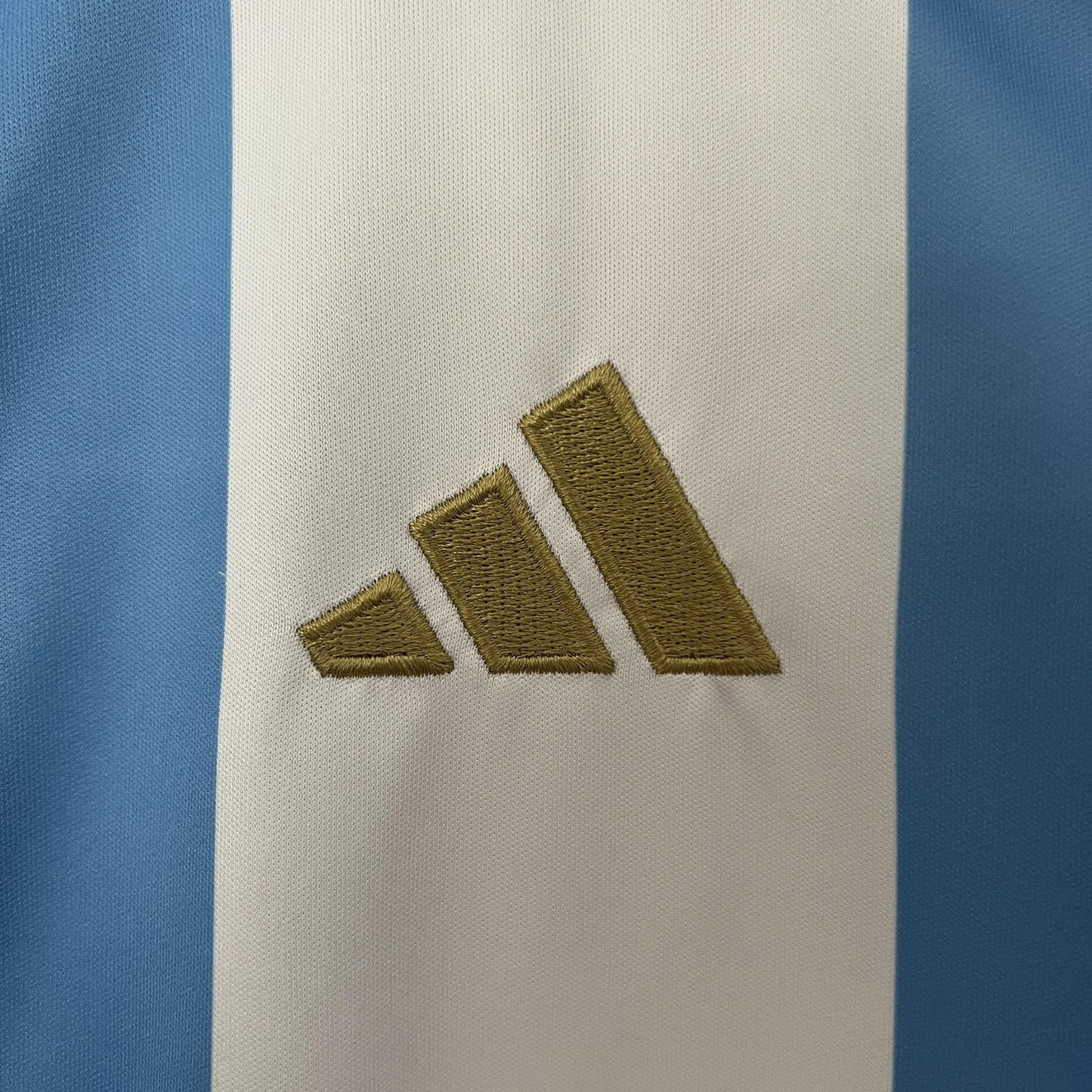 CAMISETA ARGENTINA I COPA AMÉRICA 2024/2025/2026 MUJER