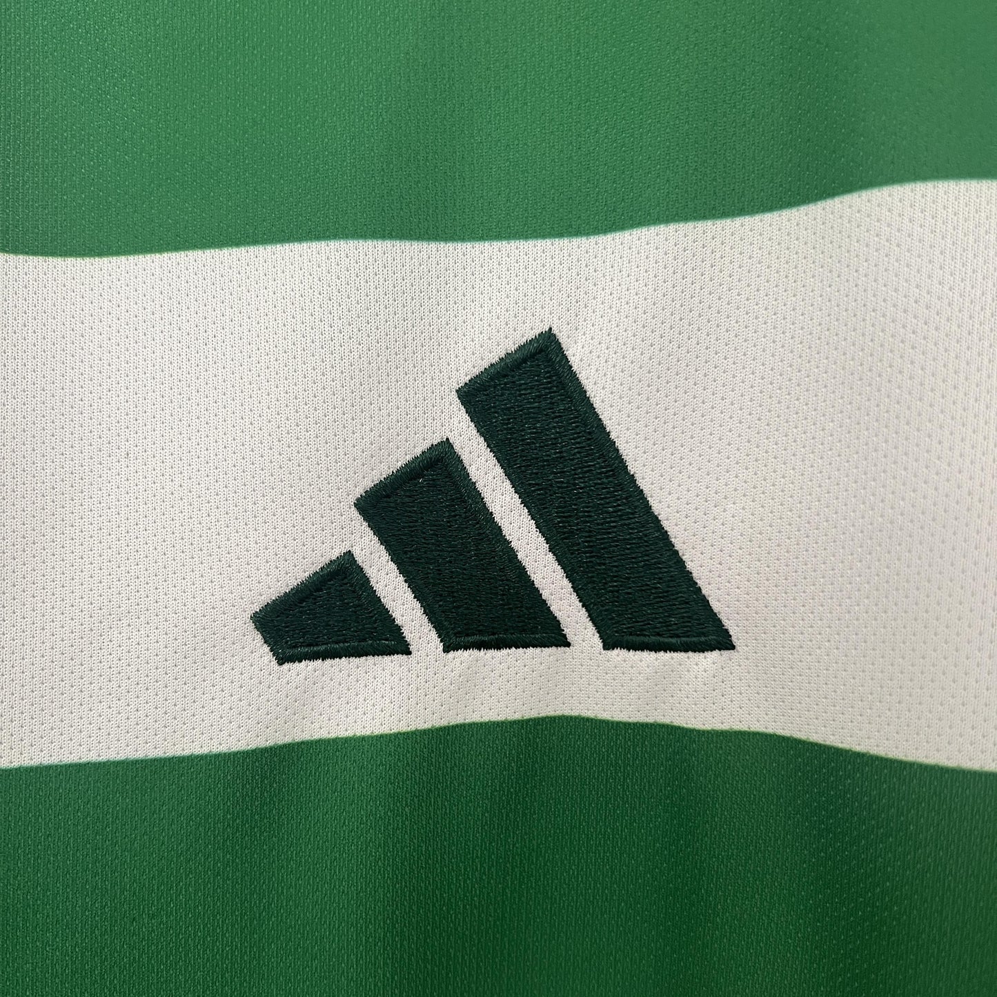 CELTIC I 24/25 HOMBRES