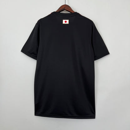 JAPÓN EDICIÓN ESPECIAL VI 23/24 HOMBRES